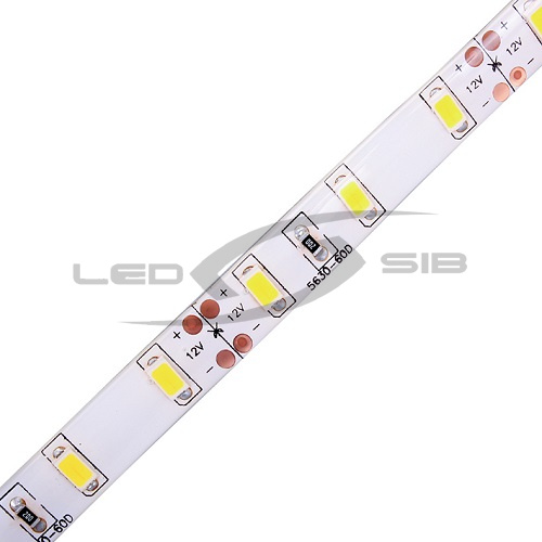 светодиодная лента ls эко влагозащищенная smd 5630-300-12 ip65 720lm (двухслойная) Светодиодная лента LS ЭКО влагозащищенная SMD 5630-300-12 IP65 720Lm (двухслойная)